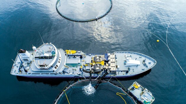 Marine Crane